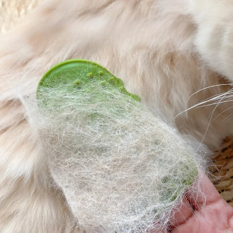 Purrfectly Clean Corner Groomer